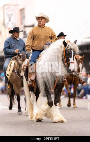 Brownsville, Texas, USA - 26 febbraio 2022: Charro Days Grand International Parade, Cowboys cavalcare bei cavalli alla parata Foto Stock