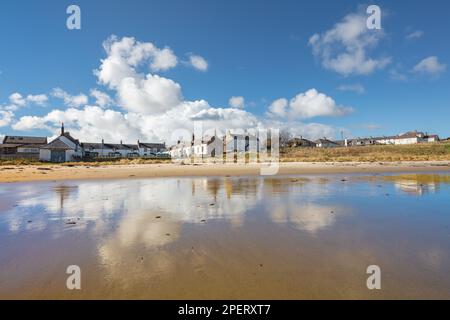 Newton basso riflesso in sabbia bagnata. Northumberland Coast, Embleton Bay da Low Newton a Dunstanburgh Castle fotografato nel bel sole di marzo. Foto Stock