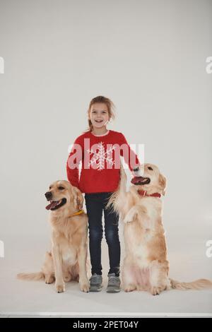 Piccola ragazza è con due Golden recuperatori in studio su sfondo bianco Foto Stock