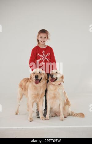 Piccola ragazza è con due Golden recuperatori in studio su sfondo bianco Foto Stock