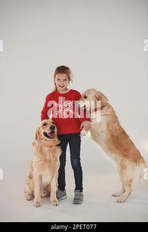 Piccola ragazza è con due Golden recuperatori in studio su sfondo bianco Foto Stock