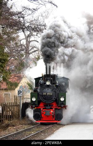 Un treno a vapore a scartamento ridotto Harz che parte da Wernigerode e si porta al Brocken Foto Stock