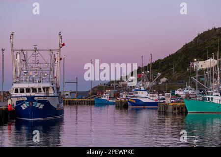Numerose barche da pesca di granchio, merluzzo bianco e gamberetti di colore blu e bianco legate al molo di St John's Harbour. La barca è carica di attrezzi da pesca. Foto Stock
