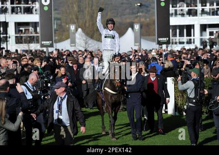 Gara 4 l'ostacolo del campione Unibet. Il vincitore della gara Constitution Hill guidato da Nico de Boinville entra nel recinto del vincitore Racing a Cheltenham R. Foto Stock