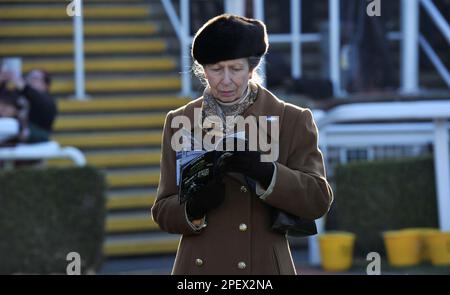 Principessa Anna nella Parade Ring Racing all'ippodromo di Cheltenham il giorno 1 del Festival, la celebrazione della National Hunt corse di cavalli culminatin Foto Stock