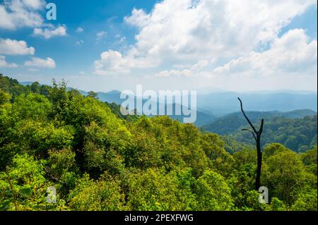 Vista panoramica del punto di osservazione delle pinne di Kew vicino al villaggio di Mae Kampong e alla città di Chiang mai, Thailandia. Vista sulle montagne e sulle colline nelle giornate di sole. Foto Stock