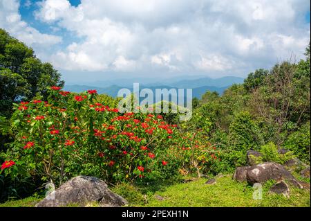 Vista panoramica del punto di osservazione delle pinne di Kew vicino al villaggio di Mae Kampong e alla città di Chiang mai, Thailandia. Vista sulle montagne e sulle colline nelle giornate di sole. Foto Stock