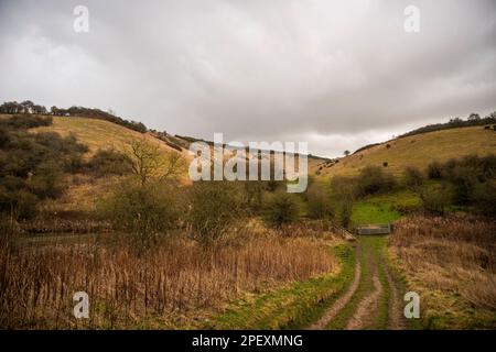 Una sezione dello Yorkshire Wolds Way National Trail tra Millington Woods e Huggate nello Yorkshire orientale, Regno Unito Foto Stock