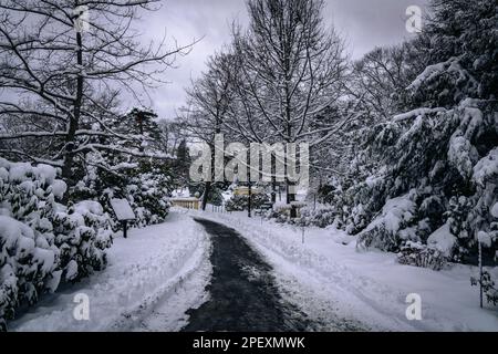 Sentiero coperto di neve che conduce ai giardini pubblici ponte sud Halifax Public Gardens National Historic Site of Canada Foto Stock