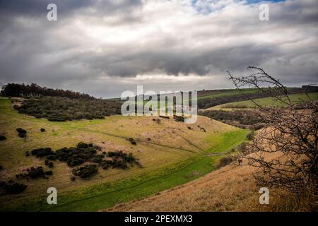 Una sezione dello Yorkshire Wolds Way National Trail tra Millington Woods e Huggate nello Yorkshire orientale, Regno Unito Foto Stock