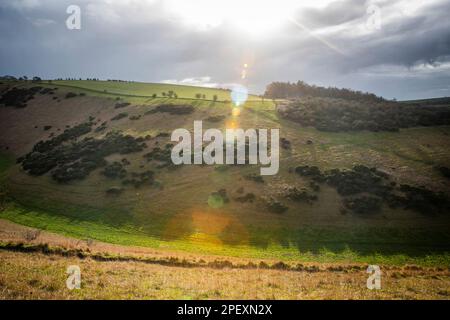 Una sezione dello Yorkshire Wolds Way National Trail tra Millington Woods e Huggate nello Yorkshire orientale, Regno Unito Foto Stock