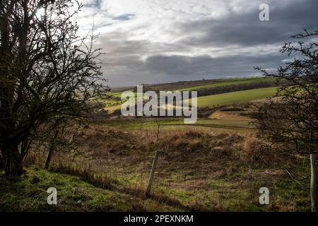 Una sezione dello Yorkshire Wolds Way National Trail tra Millington Woods e Huggate nello Yorkshire orientale, Regno Unito Foto Stock