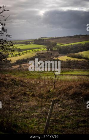 Una sezione dello Yorkshire Wolds Way National Trail tra Millington Woods e Huggate nello Yorkshire orientale, Regno Unito Foto Stock