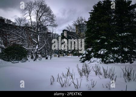 Halifax Public Gardens, sito storico nazionale del Canada Foto Stock