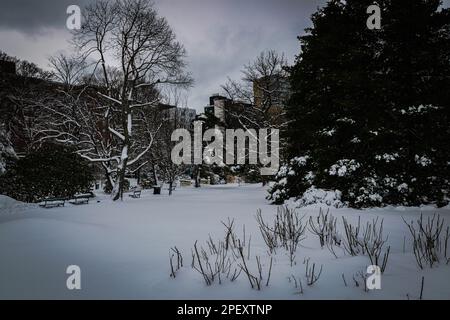 Halifax Public Gardens, sito storico nazionale del Canada Foto Stock