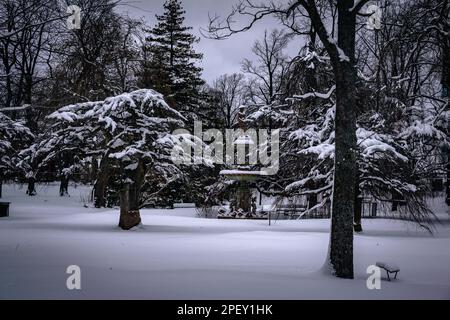 Royal Canadian Dragoons, Boer War Sculpture in Halifax Public Gardens National Historic Site of Canada Foto Stock