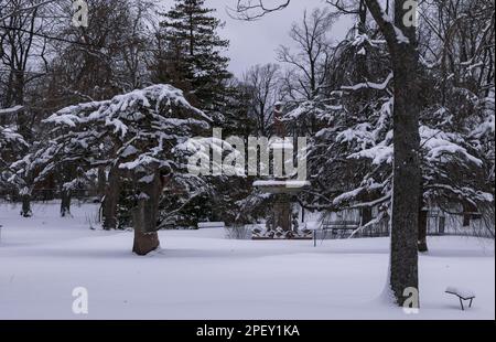 Royal Canadian Dragoons, Boer War Sculpture in Halifax Public Gardens National Historic Site of Canada Foto Stock