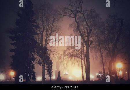 Bella foto di una serata nebbiosa nel Parco Shevchenko di Kyiv con luci e grandi alberi Foto Stock