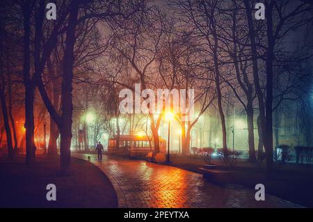 Bella foto di una serata nebbiosa nel Parco Shevchenko di Kyiv con luci e grandi alberi Foto Stock