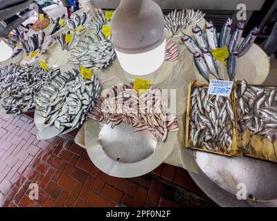 Vista ad angolo alto su molti bassi marini, sardine, flounders, triglie posate su vassoi in vendita. Cibo sfondo, spazio copia. Bancarella di pesce fresco al mercato Foto Stock