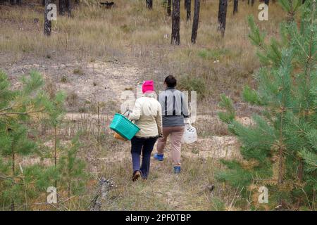 due donne con cestini a piedi attraverso la foresta in cerca di funghi, vista posteriore Foto Stock