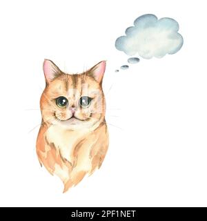 Ritratto di un gatto di cinchilla d'oro con grandi occhi. Illustrazione acquerello. Un oggetto isolato della collezione VETERINARIA. Per il design e. Foto Stock