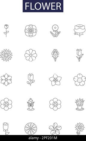 Icone e segni vettoriali a linee floreali. fioritura, fioritura, floreale, botanica, polline, set di illustrazioni vettoriali a margherita, bouquet, gerbera Illustrazione Vettoriale