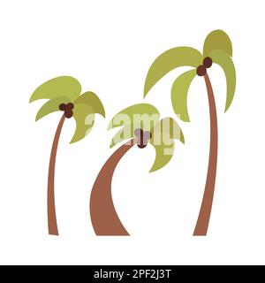 Semplice set piatto di palme tropicali con noci di cocco. Collezione di illustrazioni isolate estive, elementi, oggetti, clipart, icone. Per boo Illustrazione Vettoriale