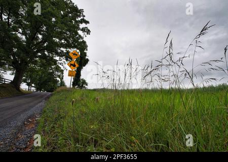 Stati Uniti - Giugno 10, 2019: Snake Hill Road vicino alla città di Middleburg. (Foto di Douglas Graham/WLP) Foto Stock