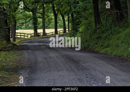 Stati Uniti - Giugno 10, 2019: Snake Hill Road vicino alla città di Middleburg. (Foto di Douglas Graham/WLP) Foto Stock