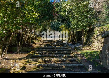 Il bellissimo giardino di Palazzo Farnese a Caprarola, provincia di Viterbo, Lazio, Italia. Marzo-02-2020 Foto Stock