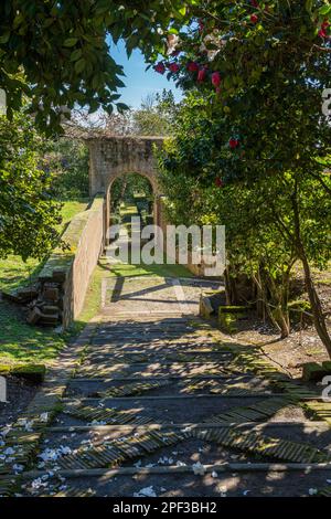 Il bellissimo giardino di Palazzo Farnese a Caprarola, provincia di Viterbo, Lazio, Italia. Marzo-02-2020 Foto Stock