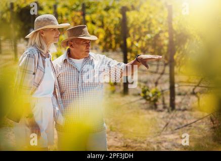 Due agricoltori anziani che parlano in vigna. Uomo e donna anziani in piedi in un'azienda vinicola e indicando mentre si guarda le colture. Colleghi e amici Foto Stock