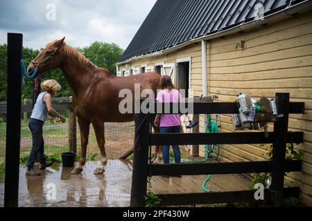 Stati Uniti - Giugno 19, 2019: Emily Houston di Paeonian molle e il suo allievo Lisette Graham lavare un cavallo dopo una lezione presso la sua azienda agricola lungo il vecchio Wate Foto Stock