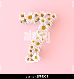 Numero 7 di fiori di camomilla naturale. Carino camomiles numero sette. Concetto di numeri di fiori primaverili isolato su sfondo rosa pastello carino. In alto Foto Stock