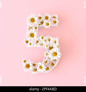 Numero 5 di fiori di camomilla naturale. Carino camomiles numero cinque. Concetto di numeri di fiori primaverili isolato su sfondo rosa pastello carino. In alto Foto Stock