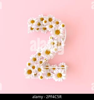 Numero 2 di fiori di camomilla naturale. Carino camomiles numero due. Concetto di numeri di fiori primaverili isolato su sfondo rosa pastello carino. Vista dall'alto Foto Stock