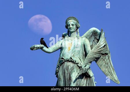 Colonna giubilare sulla Schlossplatz con la scultura della dea Concordia, è la personificazione della concordia nella mitologia romana, Luna Foto Stock