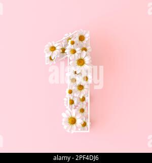 Numero 1 di fiori di camomilla naturale. Carino camomiles numero uno. Concetto di numeri di fiori primaverili isolato su sfondo rosa pastello carino. Vista dall'alto Foto Stock