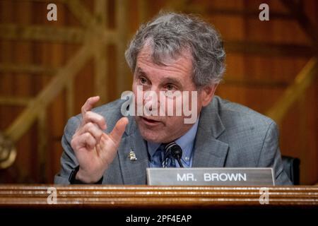 Il senatore statunitense Sherrod Brown (democratico dell'Ohio) interroga il Segretario del Tesoro degli Stati Uniti Janet Yellen davanti a un'audizione della Commissione del Senato sulle finanze per esaminare la richiesta di bilancio proposta dal Presidente per l'anno fiscale 2024 nell'edificio dell'Ufficio del Senato di Dirksen a Washington, DC, giovedì 16 marzo 2023. Credito: Rod Lamkey/CNP /MediaPunch Foto Stock