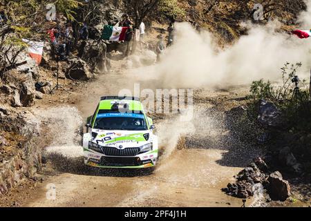 23 NIKOLAY GRYAZIN (ANA), KONSTANTIN ALEKSANDROV (ANA), TOKSPORT WRT 2, SKODA FABIA RS, RC2, Rally2, azione durante il Rally Guanajuato Messico 2023, 3rd° round del Campionato Mondiale Rally Car 2023 WRC, dal 16 al 19 marzo 2023 a Leon, Guanajuato, in Messico - Foto: Nikos Katikis/DPPI/LiveMedia Foto Stock