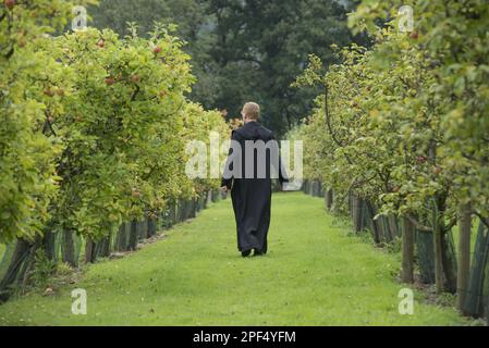 Frutteto con mela coltivata (Malus domestica), monaco tra gli alberi nel monastero benedettino, Ampleforth Abbey, Ampleforth, North Yorkshire Foto Stock