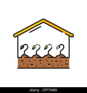 Crescita delle piante in serra, agricoltura e agronomia linea di colore icona. Coltura del raccolto contorno del pittogramma vettoriale con germogli in casa, giardinaggio Illustrazione Vettoriale