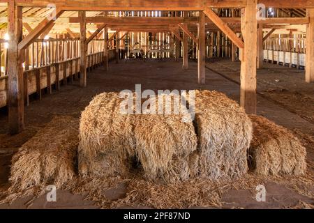 Balle di fieno impilate in vecchio fienile di legno sul ranch storico del bestiame Foto Stock