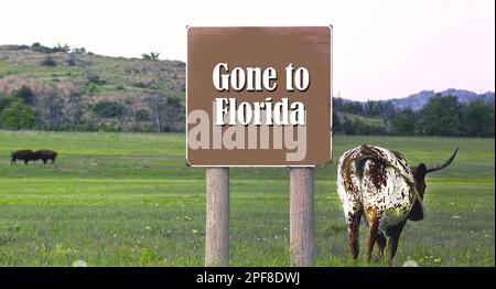 Sono andato in Florida per una vita migliore. Foto Stock