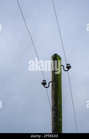 un vecchio palo elettrico in legno con due linee Foto Stock