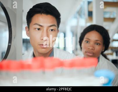 Maneggiarli con cura. un giovane scienziato che inserisce un vassoio di campioni in uno spazio di conservazione. Foto Stock