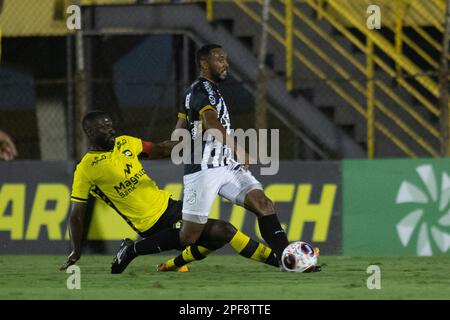 Sao Bernardo do campo, Brasile. 16th Mar, 2023. SP - Sao Bernardo do campo - 03/16/2023 - INDEPENDENCE BOWL 2023, SAO BERNARDO X INTER DE LIMEIRA Photo: Diogo Reis/AGIF/Sipa USA Credit: Sipa USA/Alamy Live News Foto Stock