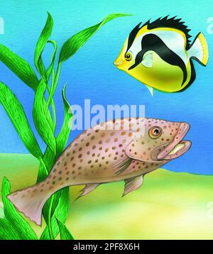 Animali-pesci & canne sott'acqua Foto Stock