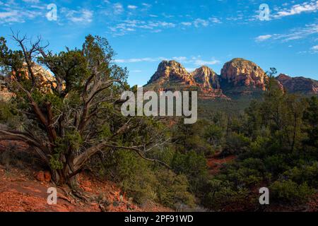 La vista dal sentiero escursionistico Mescal vicino a Sedona, Arizona, Stati Uniti Foto Stock